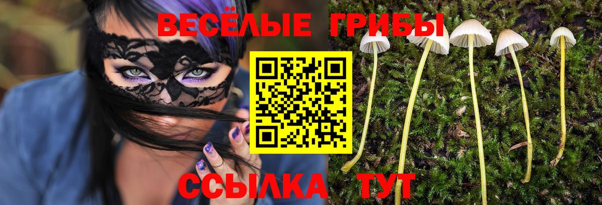 Калининград  Галлюциногенные грибы прущие грибы  Галлюциногенные грибы MAGIC MUSHROOMS  магазин продажи наркотиков  Вход с VPN 